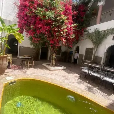 Private house Riad Arlette exclusive