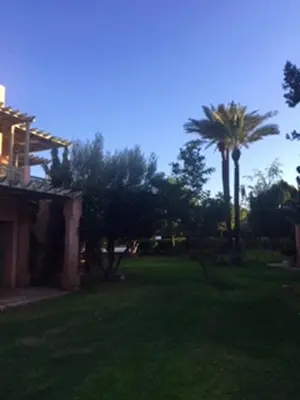 a yard with a house and a palm tree at Comfortable Apartment in Marrakech with Shared Pool, 124 sqm in Marrakech