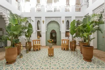 a room filled with lots of potted plants at Riad Zeitoun Palace in Marrakech