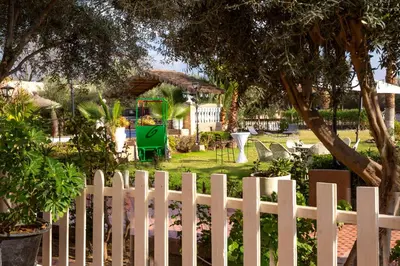 Gallery image of Villa Ayche in Marrakech