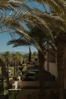 a row of palm trees in front of a building at Sirayane Boutique Hotel & Spa Marrakech in Marrakech
