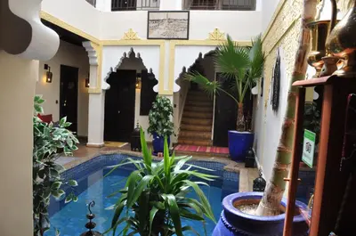 a house with a swimming pool and plants in front of it at Riad des Etoiles in Marrakech
