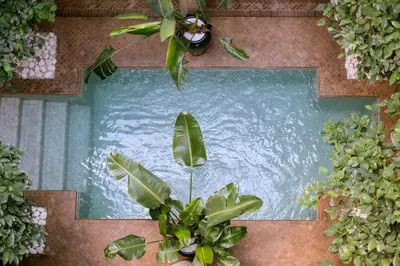 an overhead view of a pool of water with a plant at Riad O in Marrakech