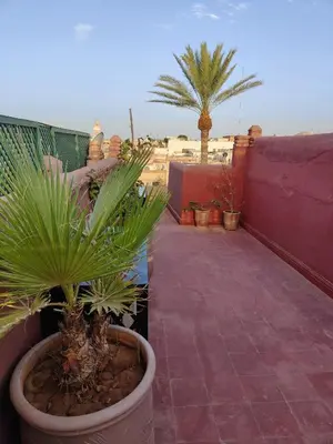a balcony with palm trees and plants in pots at Riad Assalam in Marrakech