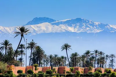 a group of palm trees with a mountain in the background at Riad Dar More in Marrakech