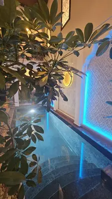 a plant in a room with a blue light at Riad Alboraq in Marrakech