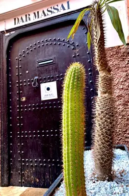 a cactus sitting in front of a garage door at Riad Dar Massai in Marrakech