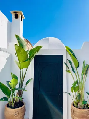 a black door in a white building with two plants at Riad Fabiola Et Spa By La Siredrah in Marrakech