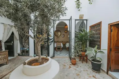 a house with a tree in a room with plants at Riad Dar Coram in Marrakech