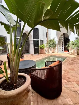 a large plant in a pot next to a pool at Riad Hadika Maria in Marrakech
