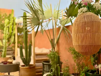 a bunch of potted plants in a room at Vibrant Medina Loft and Roof Top in Marrakech