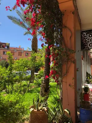 a garden with red flowers and a palm tree at Riad Côté palmeraie in Marrakech