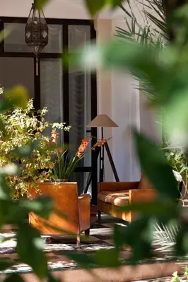 a living room with a couch and some plants at Dar Rhizlane, Palais Table d'hôtes & SPA in Marrakech
