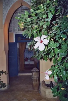 an entrance to a house with a plant with flowers at Riad El Filali in Marrakech