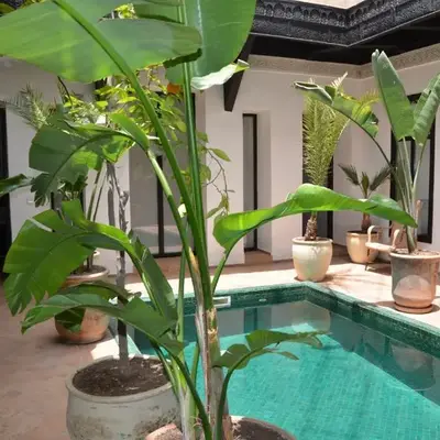 Riad Bab 54