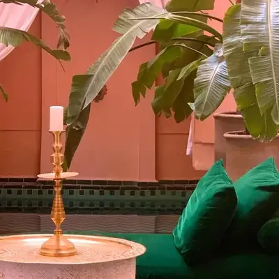 The Bohemian Jungle