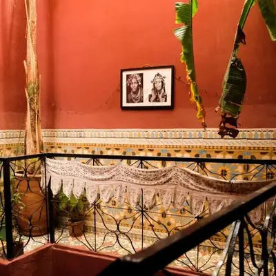 Riad Hayed