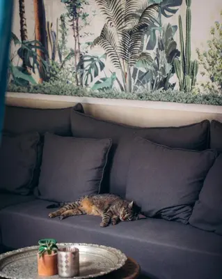 a cat laying on a couch in a living room at Riad Rafaele & SPA in Marrakech