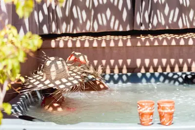 a cat wearing a hat in a pool of water at Riad Mazaya in Marrakech