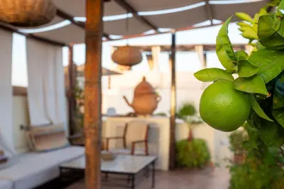 a lime hanging from a plant in a porch at Riad Le Coq Berbère in Marrakech