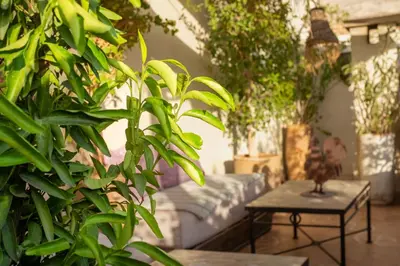 a living room with a couch and a table with plants at Riad Le Coq Berbère in Marrakech