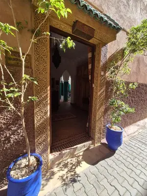 two blue pots with a tree in front of a doorway at Riad Bianca Marrakech in Marrakech