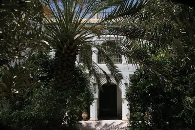 a palm tree in front of a white building at Riad Ifoulki in Marrakech