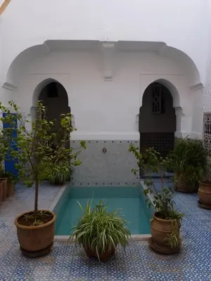 a courtyard with potted plants and a swimming pool at Riad Ifoulki in Marrakech