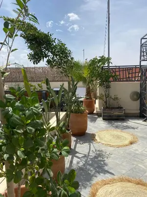 a patio with a bunch of potted plants at Riad Kasbah 117 in Marrakech