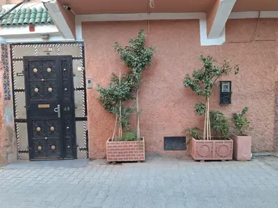 a building with two potted trees in front of a door at Riad Medina in Marrakech