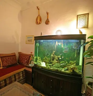 a large aquarium in a room with a bed at Riad Cherihane in Marrakech