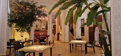 a restaurant with tables and chairs and a plant at Riad de Vincent in Marrakech