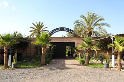 a building with palm trees in front of it at Boutique Hotel Katia in El Harkat