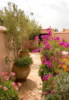 a garden with large pots of flowers and plants at Riad Meriem in Marrakech