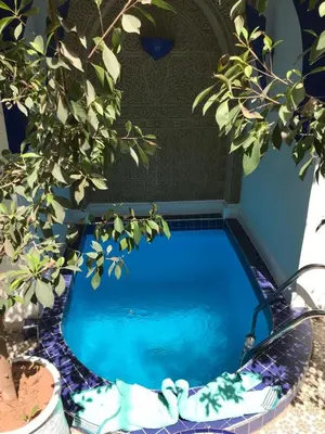 a swimming pool with a tree next to it at Riad Bab Lakhmiss in Marrakech