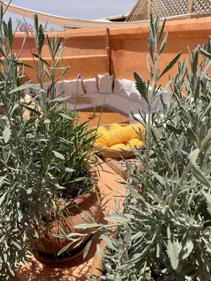 a group of potted plants sitting on a patio at Dar El Qadi in Marrakech