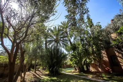 a path through a forest of palm trees at Villa Atlas de Luxe avec piscine privée Domaine des Kasbahs in Marrakech
