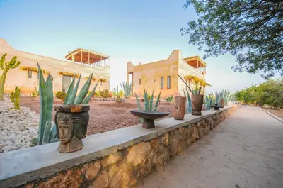 a row of potted plants on a wall in front of a building at SA FONDA in Tameslouht