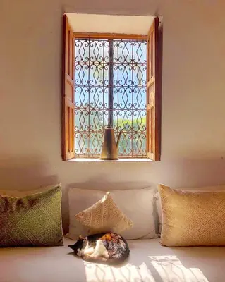 a cat laying on a couch under a window at La Ferme Berbere in Marrakech