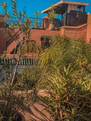a group of plants on the side of a building at Riad Ghali Hotel & SPA in Marrakech