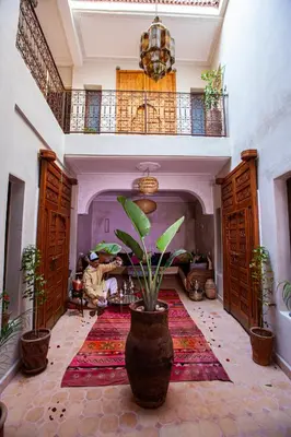 a living room with a potted plant on the floor at Riad Taziri in Marrakech
