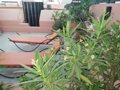 a red bench and some plants in a building at appartment achwaq in Marrakech