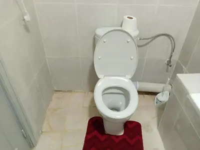 a bathroom with a toilet with a red rug at Appartement 33 in Marrakech