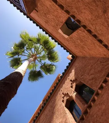 a tall building with a palm tree in the sky at Riad Zahir in Marrakech