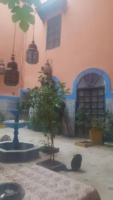 a cat sitting next to a building with a fountain at RIAD DAR KADER chambre saumon in Marrakech