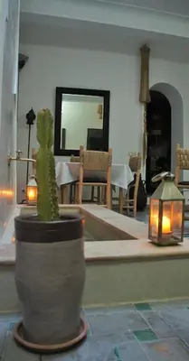 a plant in a pot in a room with a table at Riad Alqimam in Marrakech
