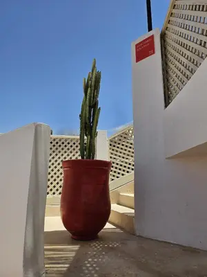 a plant in a red pot sitting on a balcony at Miostello Lifestyle Riad Marrakech in Marrakech