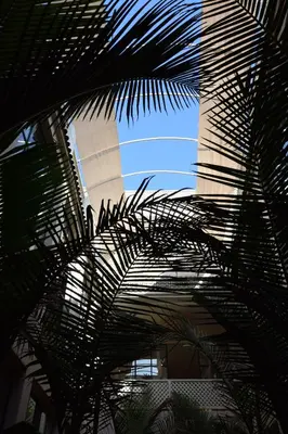a view of a building through a palm tree at Miostello Lifestyle Riad Marrakech in Marrakech