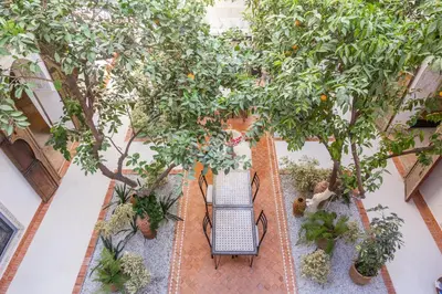 an indoor garden with two benches and orange trees at Riad Tchaikana in Marrakech
