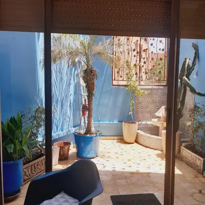 a room filled with potted plants in a room at Appartement Patio centre Gueliz in Marrakech